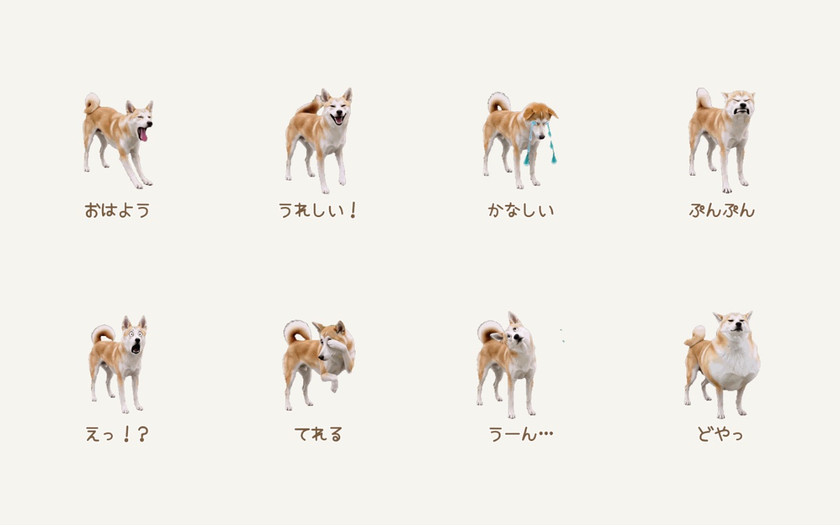 家族の犬「ボンド」の動くLINEスタンプ